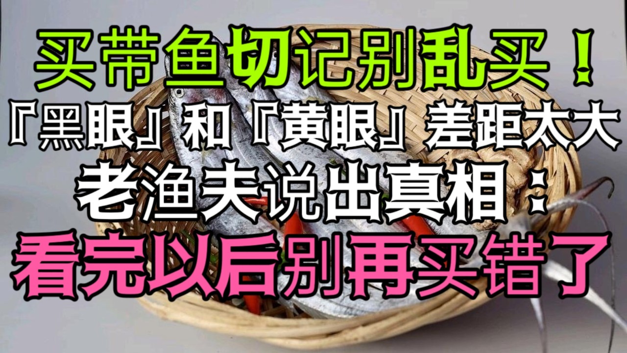 【小林家的美食】，買帶魚切記別亂買！『黑眼』和『黃眼』差距太大了，老漁夫說出真相：看完以後別再買錯了。