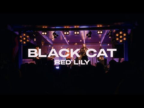 red lily - Black Cat (live at Sound am See 2024)