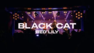 red lily - Black Cat (live at Sound am See 2024)