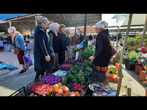 Video: Акылдуу идиш: автоматтык түрдө сугарылган гүл идиштеринин өзгөчөлүктөрү. Гүлдөр үчүн Xiaomi жана Parrot Pot моделдеринин өзгөчөлүктөрү. Артыкчылыктары жана кемчиликтери