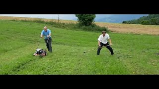 Lawn Mower versus Scythe again - Love scything 5