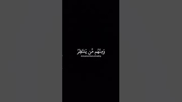 سورة الاحزاب🤍بدر التركي #quran #المصحف #القرآن #القرآن_الكريم #الرحمن #قران #سورة_الاحزاب