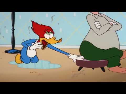 Woody Woodpecker Crying 1 Youtube Woody Woodpecker Crying 1 Youtube