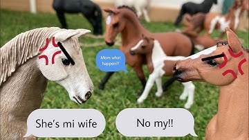 Schleich music video (angels like you)