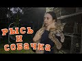 Рысенок, играющий с собакой, пумы, еноты и мастер-класс по плову. @katyabobcat