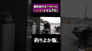 【ドッキリ】釣りよか飯の撮影直前のよーらいを驚かした結果...。 #shorts