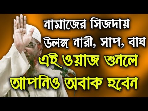 📚 নামাজের সিজদায় উলঙ্গ নারী, সাপ, বাঘ !!! 📹 আমানুল্লাহ বিন ইসমাইল মাদানীর ওয়াজ ২০১৭ খন্ড#৬