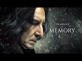 The Weight Of Memory Emotional Focus Harry Potter Ambient Music mp3