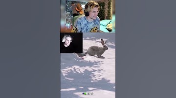 Aww, it