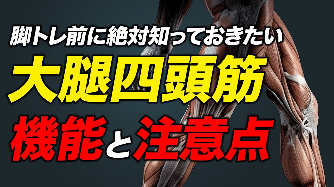 筋トレ】大腿四頭筋の機能と注意点、お勧めのセット数・レップ数・頻度