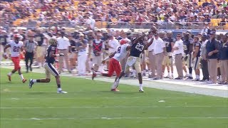 Did You See That | Tyler Boyd Fingertip Catch | PittLiveWire