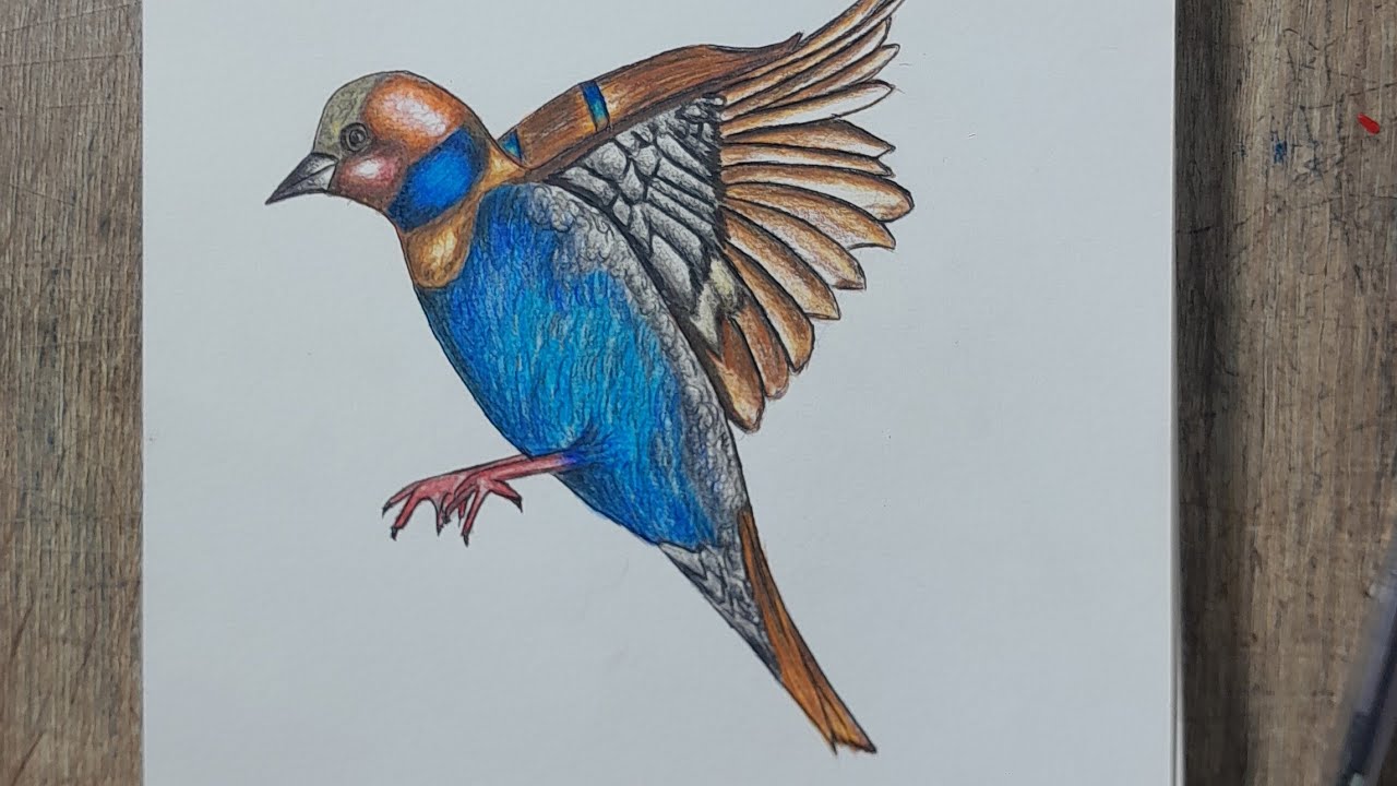 Baby flying bird 👌🥰❤️