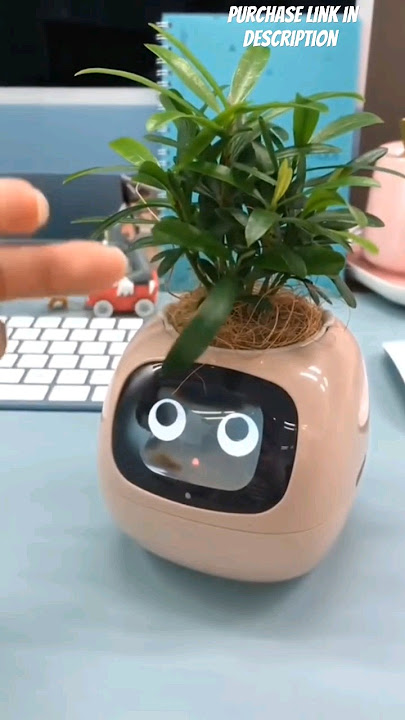 smart flower pot #flowerpot #emotion #demand #imported #leddisplay #robotic #sensor #companion