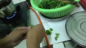 MÓN RẮN XÀO XẢ ỚT PHẦN 1 NGON ĐỘC LẠ NHÉ