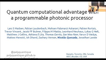 Quantum Computational Advantage with a Programmable Photonic Processor