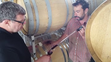 Barrel Tasting with The Chase Wines
