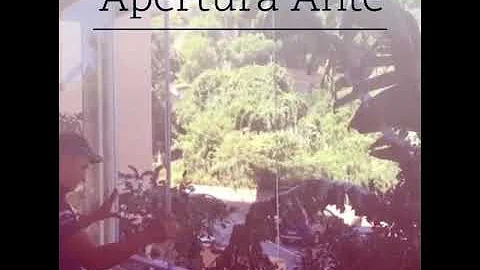 Come si chiamano i balconi chiusi?