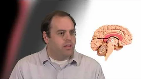 Patrick Ryan Potts, PhD