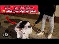 مسكينة حامل منو كانت ايطيح لها الولد على المباشر مسكينة حامل منو كانت ايطيح لها الولد على المباشر