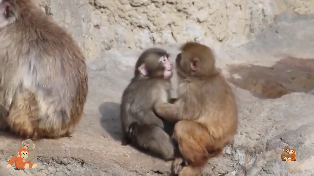 New day| Punch | Punch is very happy with his friends.| パンチは友達と一緒にとても幸せです