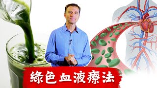 綠色血液療法,小麥草汁濃縮粉(Wheat grass juice powder)很不同,柏格醫生 Dr Berg