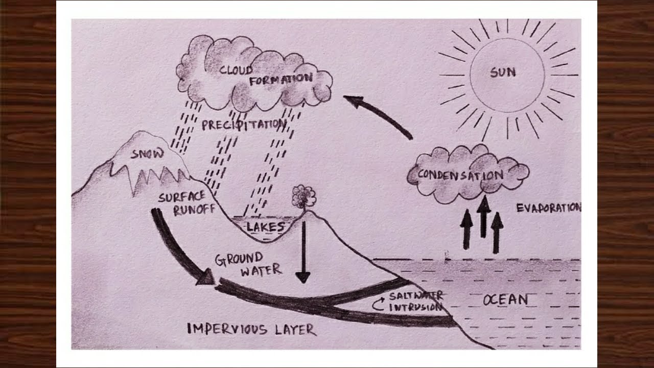 Water cycle diagram for Water Cycle of a School Project  water cycle dr   Water cycle diagram Cycle drawing Water cycle