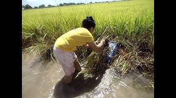 Creative Girl Make Fish Trap Using PVC - Fan Guard - Basket To Catch A Lot of Fish