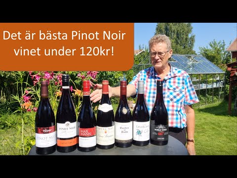 Video: 5 Budgetviner För Att Fira National Drink Wine Day