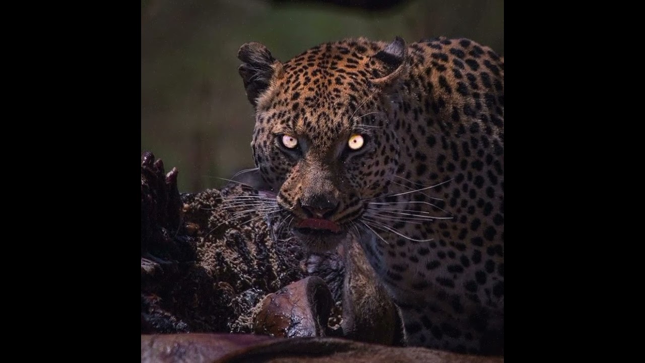 [FREE] Boom Bap Type Beat Rap Hip Hop Dark Hardcore Freestyle Instrumental Underground [Instinto].