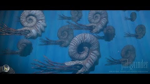 King Consolidated | Permian Basin