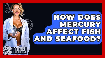 How Does Mercury Affect Fish And Seafood? - Science Through Time