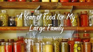 A Year of Food for Less than $1000! | Food Storage for My Large Family