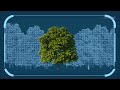 Understanding GEDI and Its Impact on Earth's Forests