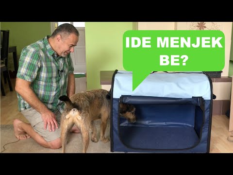 TRIXIE Soft Kennel unboxing - kicsomagoltuk Sherlock új mobil házát