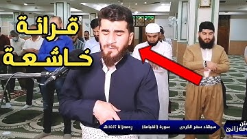سورة القيامة بصوت القارئ سيهاد الكردي... Surah al-Qiyamah | sihad al kurdi