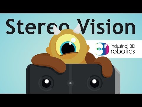 Video: Co je stereoskopická kamera?