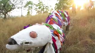 Chancha Via Circuito - Los Pastores Official Music Video