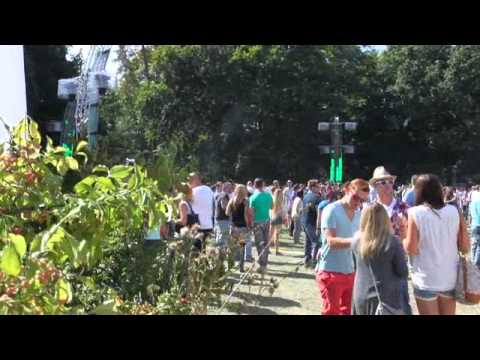 GREEN & BLUE Grand Finale LIVE UND DIREKT ricardo villalobos md