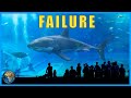 What happened to the Great Whites we put in aquariums?