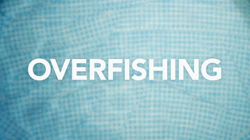 Overfishing