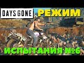 Days Gone(Жизнь после) - Режим "Испытания"! Стрим №6!