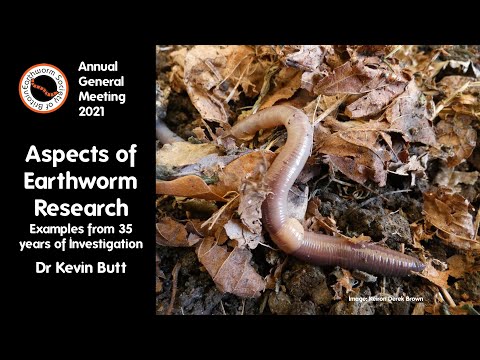 Aspects of Earthworm Research - Examples from 35 years of Investigation