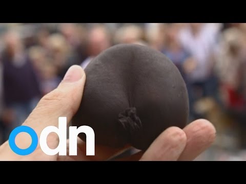 Hundreds turn out for World Black Pudding Throwing Championships