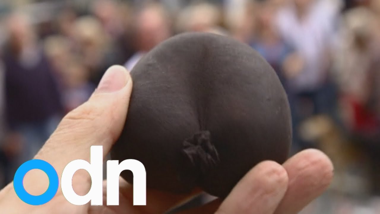 Hundreds turn out for World Black Pudding Throwing Championships