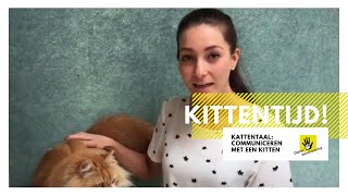 Kattentaal: communiceren met een kitten │ Kittentijd! #4