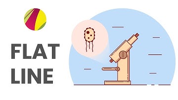 Getting started with the flat-line illustrations in Gravit. Gravit Designer for beginners tutorial