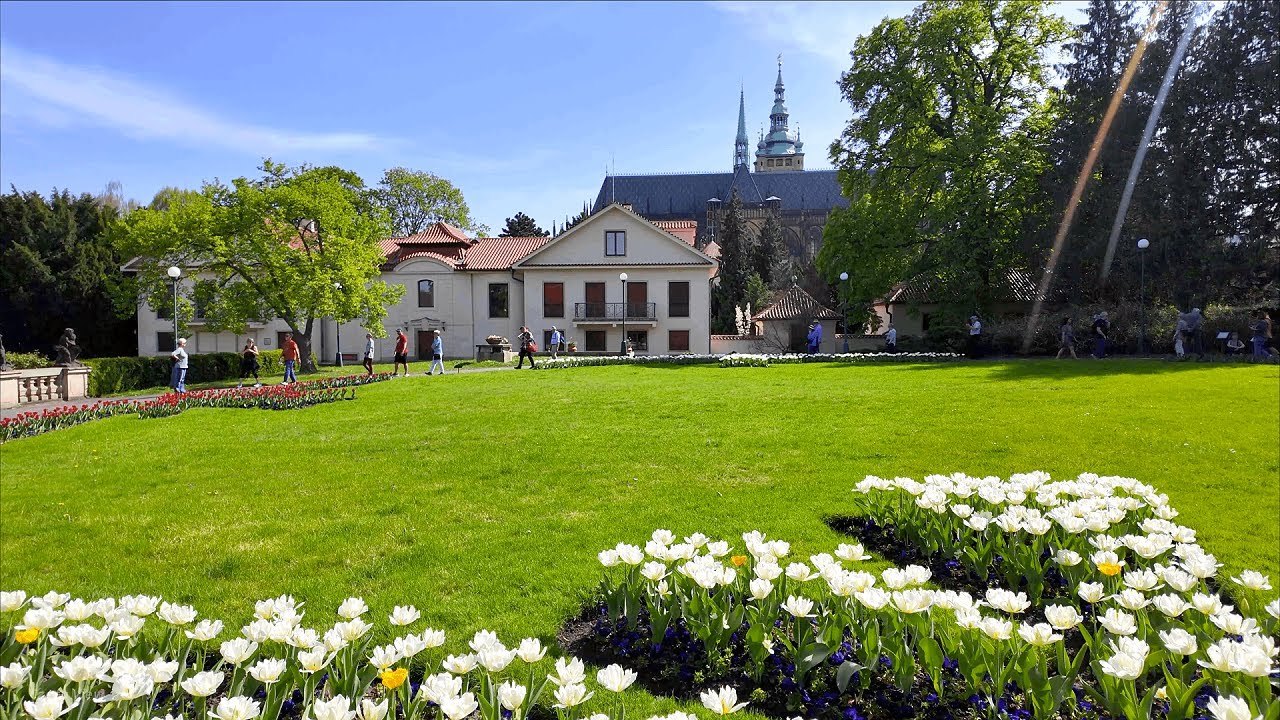 The Peaceful Morning in Prague
