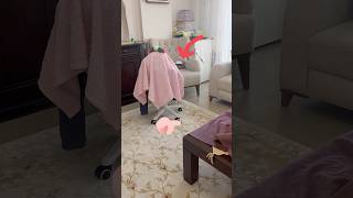 Anne Beni Bul Elif Nerdesin