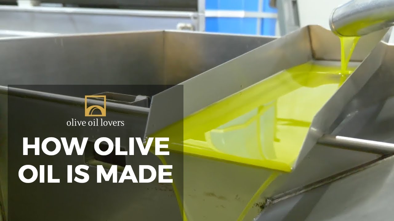 How Olive Oil Is Made YouTube How Olive Oil Is Made YouTube