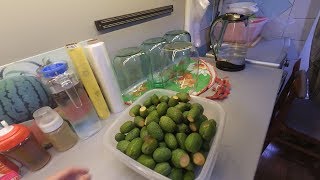 Закрываем компот из фейхоа.Домашняя рутина.25.10.18 Закрываем компот из фейхоа.Домашняя рутина.25.10.18